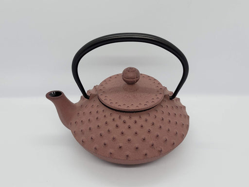 Iwachu Teapot 0.35L Flat Arare Chocolate Nambu Ironware Enameled Inside-Kiichin - The #1 Place for Japanese Goods in Your Hand!