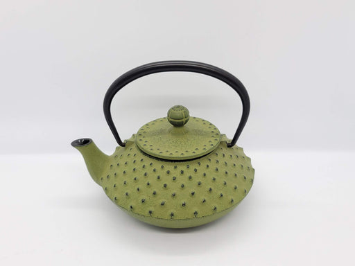 Iwachu Teapot 0.35L Flat Arare Wakakusa Enamel Interior Nambu Ironware-Kiichin - The #1 Place for Japanese Goods in Your Hand!