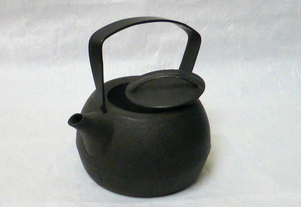 Iwachu Nambu Ironware Medium Kettle 11677 Durable Japanese Teapot-Kiichin - The #1 Place for Japanese Goods in Your Hand!
