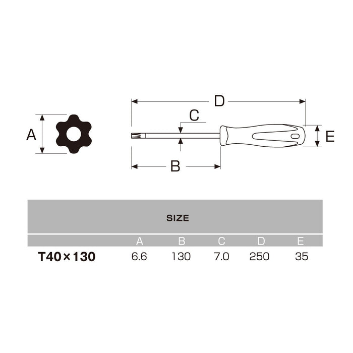 Anex T40X130 Driver Hex Lobe with Holes No.6300-Kiichin - The #1 Place for Japanese Goods in Your Hand!