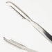 Endo Shoji Small Stainless Steel Commercial Ice Tongs Made in Japan-Kiichin - The #1 Place for Japanese Goods in Your Hand!