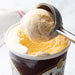 Endo Shoji Ice Cream Scoop #18 Φ50x208mm 35cc Stainless Steel Rust-Resistant-Kiichin - The #1 Place for Japanese Goods in Your Hand!