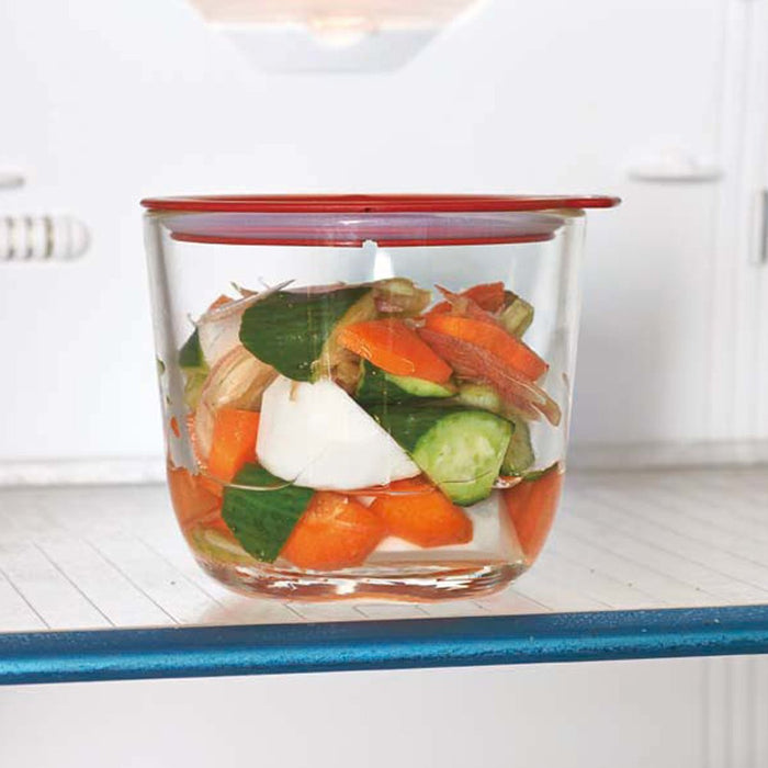 Hario Glass Overnight Pickling Device SR Red Multi-Kiichin - The #1 Place for Japanese Goods in Your Hand!