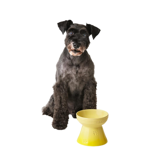 Le Creuset Orange High Stand Pet Bowl for Dogs and Cats Stain Resistant-Kiichin - The #1 Place for Japanese Goods in Your Hand!