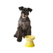Le Creuset Orange High Stand Pet Bowl for Dogs and Cats Stain Resistant-Kiichin - The #1 Place for Japanese Goods in Your Hand!