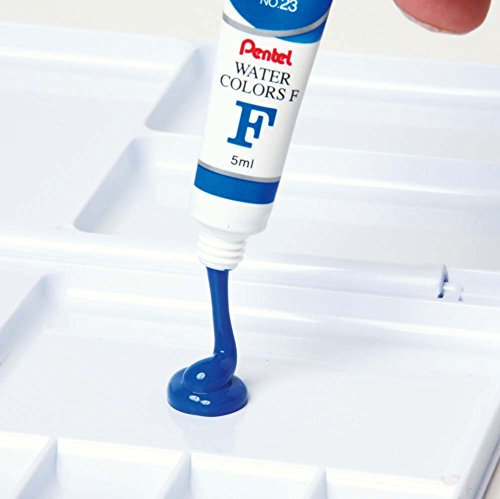 Pentel WFR-T29 White Watercolor Paint Set Pack of 10-Kiichin - The #1 Place for Japanese Goods in Your Hand!