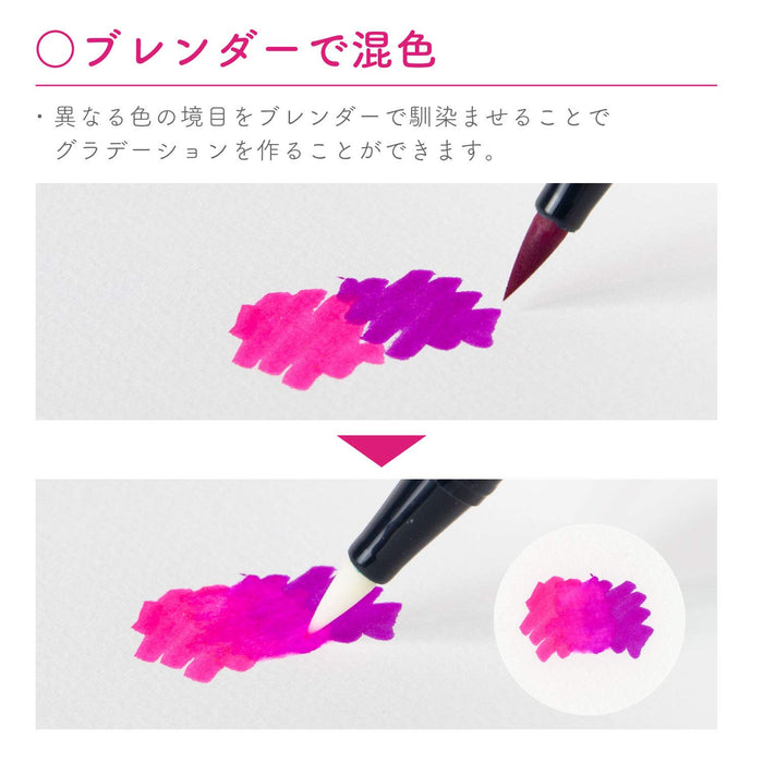 Tombow Dual Brush Pen Tropical 10 Color Set AB-T10CTR-Kiichin - The #1 Place for Japanese Goods in Your Hand!