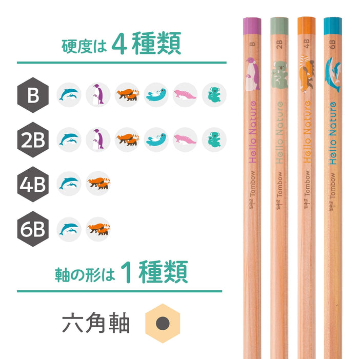 Tombow 2B Pencil Drawing - Hello Nature Bottlenose Dolphin Edition-Kiichin - The #1 Place for Japanese Goods in Your Hand!