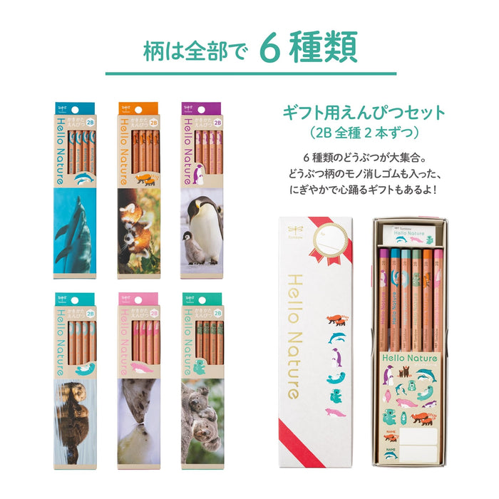 Tombow 2B Pencil Drawing - Hello Nature Bottlenose Dolphin Edition-Kiichin - The #1 Place for Japanese Goods in Your Hand!