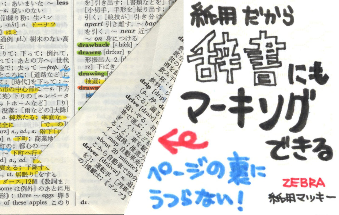 Zebra Extra Fine Light Green 10-Piece Water-Based Pen Set - Mackie Paper Model B-Wyts5-Lg-Kiichin - The #1 Place for Japanese Goods in Your Hand!