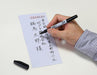 Zebra Extra Fine Red Water-Based Pen Paper Mackie 10 Piece Pack - B-Wyts5-R-Kiichin - The #1 Place for Japanese Goods in Your Hand!