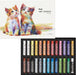 Pentel PTAC Art Crayons Creative Drawing Supplies - Multicolor - 4902506436702