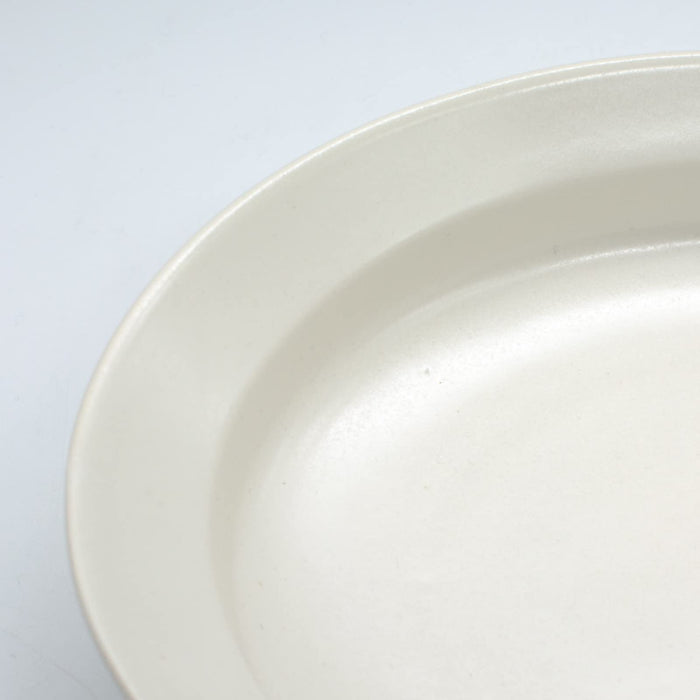 Aito Seisakusho Cullet Oval Curry Plate Pasta Bowl 24x19cm MW Dishwasher Safe 111108-Kiichin - The #1 Place for Japanese Goods in Your Hand!