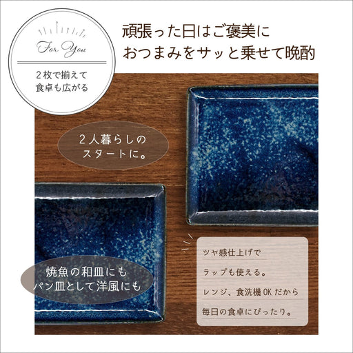 Aito Natural Color Long Square Plate Grilling Plate (2) 21x13cm Navy Blue Mino Ware 567518-Kiichin - The #1 Place for Japanese Goods in Your Hand!