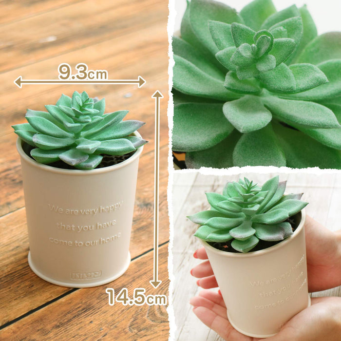 Balsan Indoor Insect Repellent - 270 Days Odorless Use - No Electricity or Fire Needed-Kiichin - The #1 Place for Japanese Goods in Your Hand!