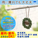 Balsan Mushi Konaimon Hanging Insect Repellent - 270 Days Outdoor Use - Japan-Kiichin - The #1 Place for Japanese Goods in Your Hand!