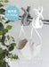 6Pcs Cat Hook Kogure - Premium Quality from Cb Japan-Kiichin - The #1 Place for Japanese Goods in Your Hand!