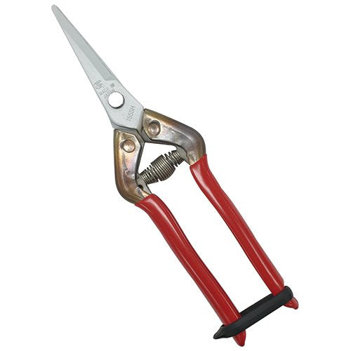 Chikamasa T-55Skf Stainless Steel Antibacterial Scissors-Kiichin - The #1 Place for Japanese Goods in Your Hand!