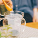 Hario Heat-Resistant Glass Teapot Tea/Jujube 2P 360ml CHRN-2N-Kiichin - The #1 Place for Japanese Goods in Your Hand!