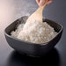 Hario Rice Pot 2C Black Microwave Safe Japan Go-2B-Kiichin - The #1 Place for Japanese Goods in Your Hand!