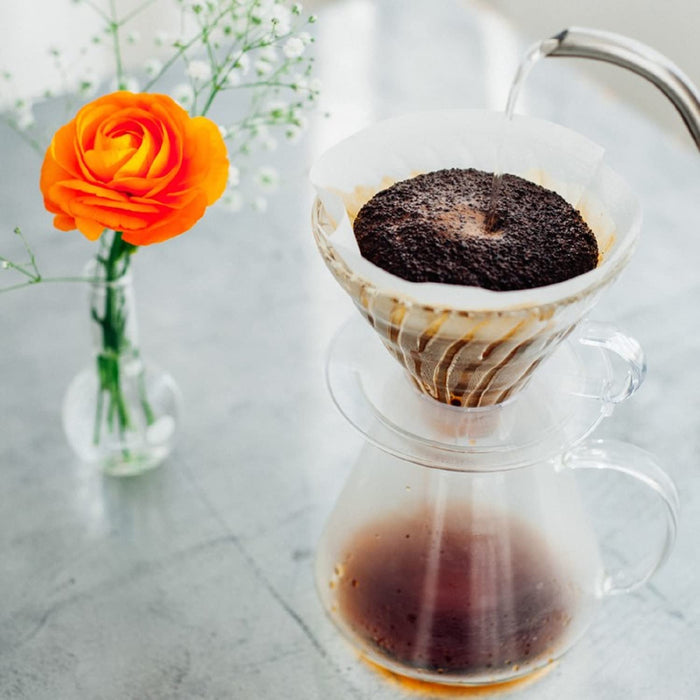 Hario V60 Glass Brewing Kit 600ml 1-4Cup Japan S-VGBK-02-T-Kiichin - The #1 Place for Japanese Goods in Your Hand!