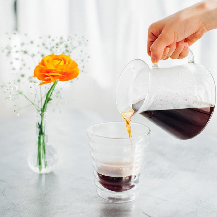 Hario V60 Glass Brewing Kit 600ml 1-4Cup Japan S-VGBK-02-T-Kiichin - The #1 Place for Japanese Goods in Your Hand!