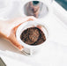 Hario WDD-5-PGR Water Dripper Drop 600ml Gray-Kiichin - The #1 Place for Japanese Goods in Your Hand!