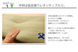 Ikehiko Corp Japan Made Rush Pillow - Hyper Deodorizing Man's Pillow-Kiichin - The #1 Place for Japanese Goods in Your Hand!