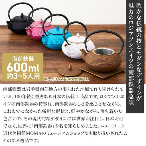 Nambu Ironware Teapot - 0.6L Black Enameled Tea Pot with Strainer-Kiichin - The #1 Place for Japanese Goods in Your Hand!