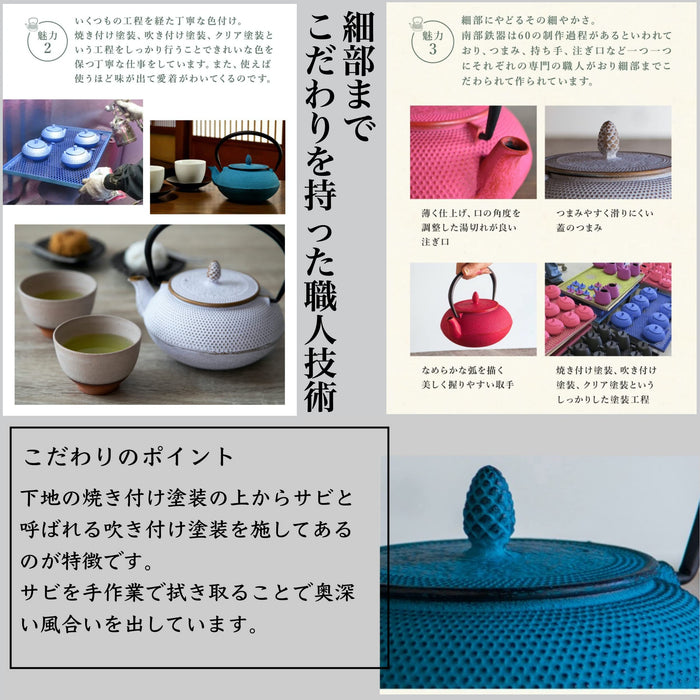 Nambu Ironware Teapot - 0.6L Black Enameled Tea Pot with Strainer-Kiichin - The #1 Place for Japanese Goods in Your Hand!