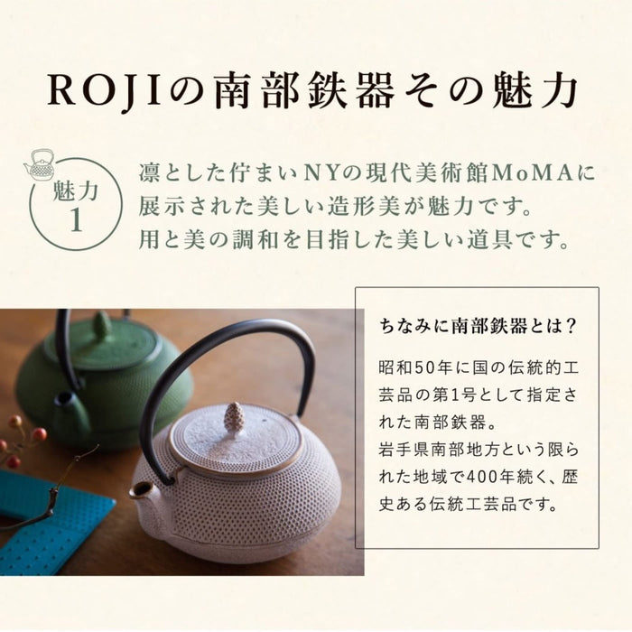 Nambu Ironware Teapot - 0.6L Black Enameled Tea Pot with Strainer-Kiichin - The #1 Place for Japanese Goods in Your Hand!