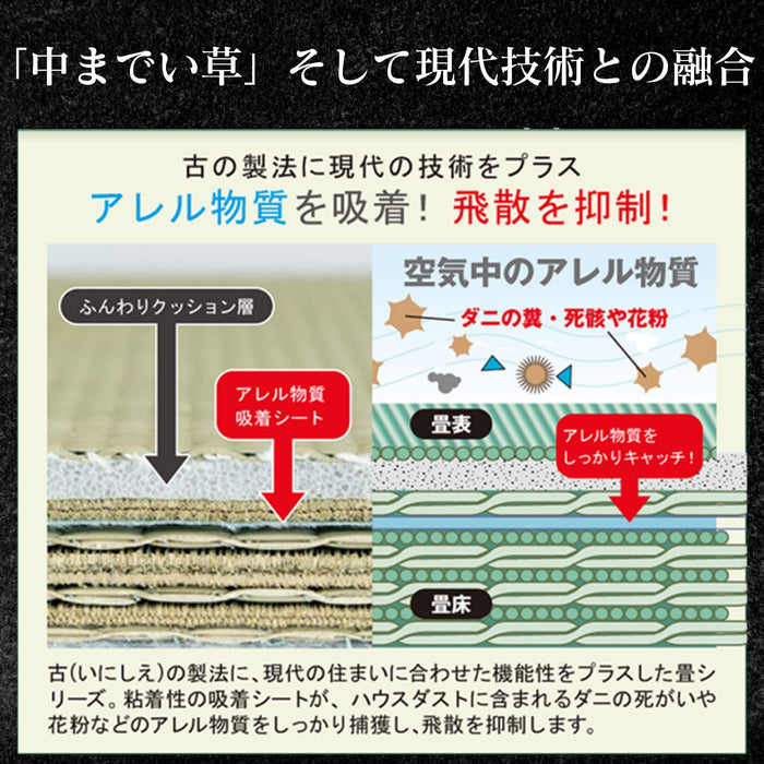 Ooshimaya Japanese Tatami Igusa Mats - Set of 4 (82x82x2.5cm)-Kiichin - The #1 Place for Japanese Goods in Your Hand!